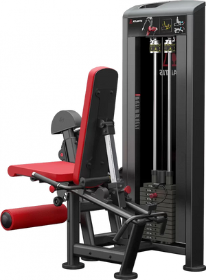 Atlantis Leg Extension/Leg Curl Combo