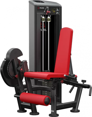 Atlantis Leg Extension/Leg Curl Combo