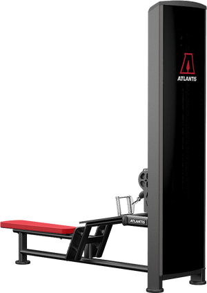 Atlantis Low Row - Model D124 image 3