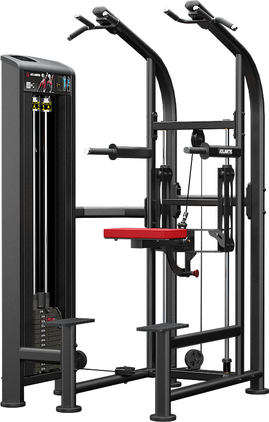 Atlantis Assisted Chin/Dip - Model D131