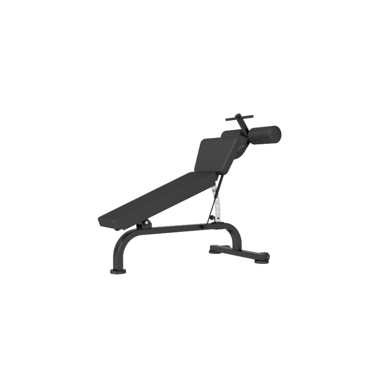 Newtech Wellness Sit Up