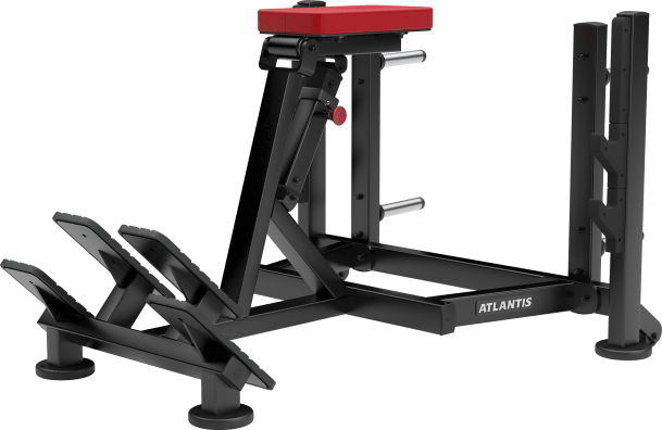 Atlantis Seal Row - Model D533