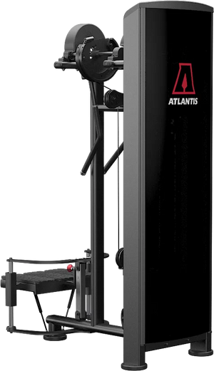 Atlantis Standing Lateral Raise