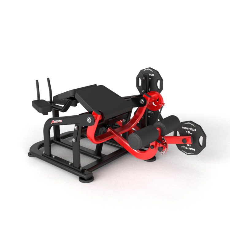Newtech Wellness Torture Leg Curl