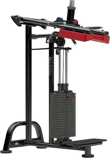 Atlantis Standing Calf - Model M118