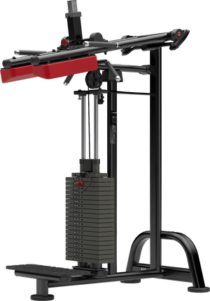 Atlantis Standing Calf - Model M118 image 2