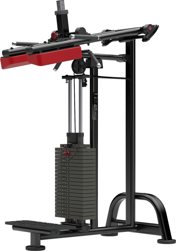Atlantis Standing Calf - Model M118 image 2