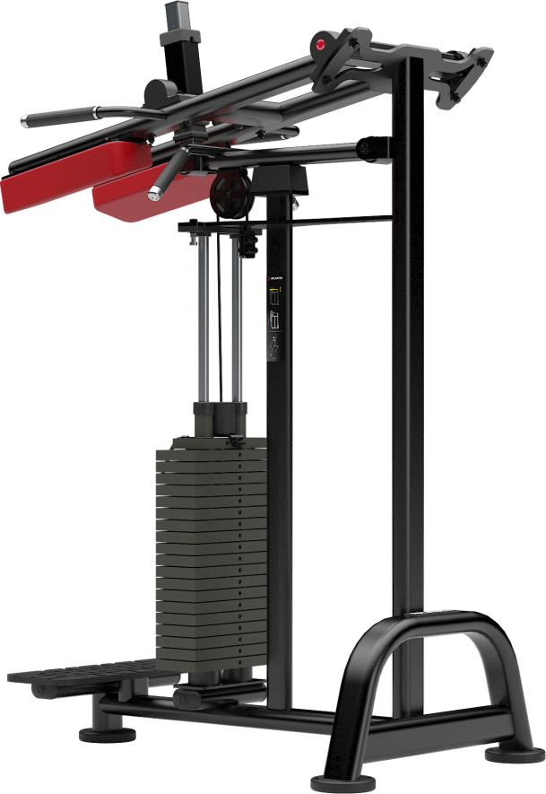 Atlantis Standing Calf - Model M118 image 3