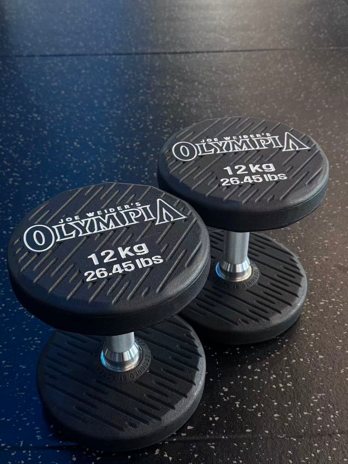 Newtech Wellness Mr. Olympia 12KG Dumbbell