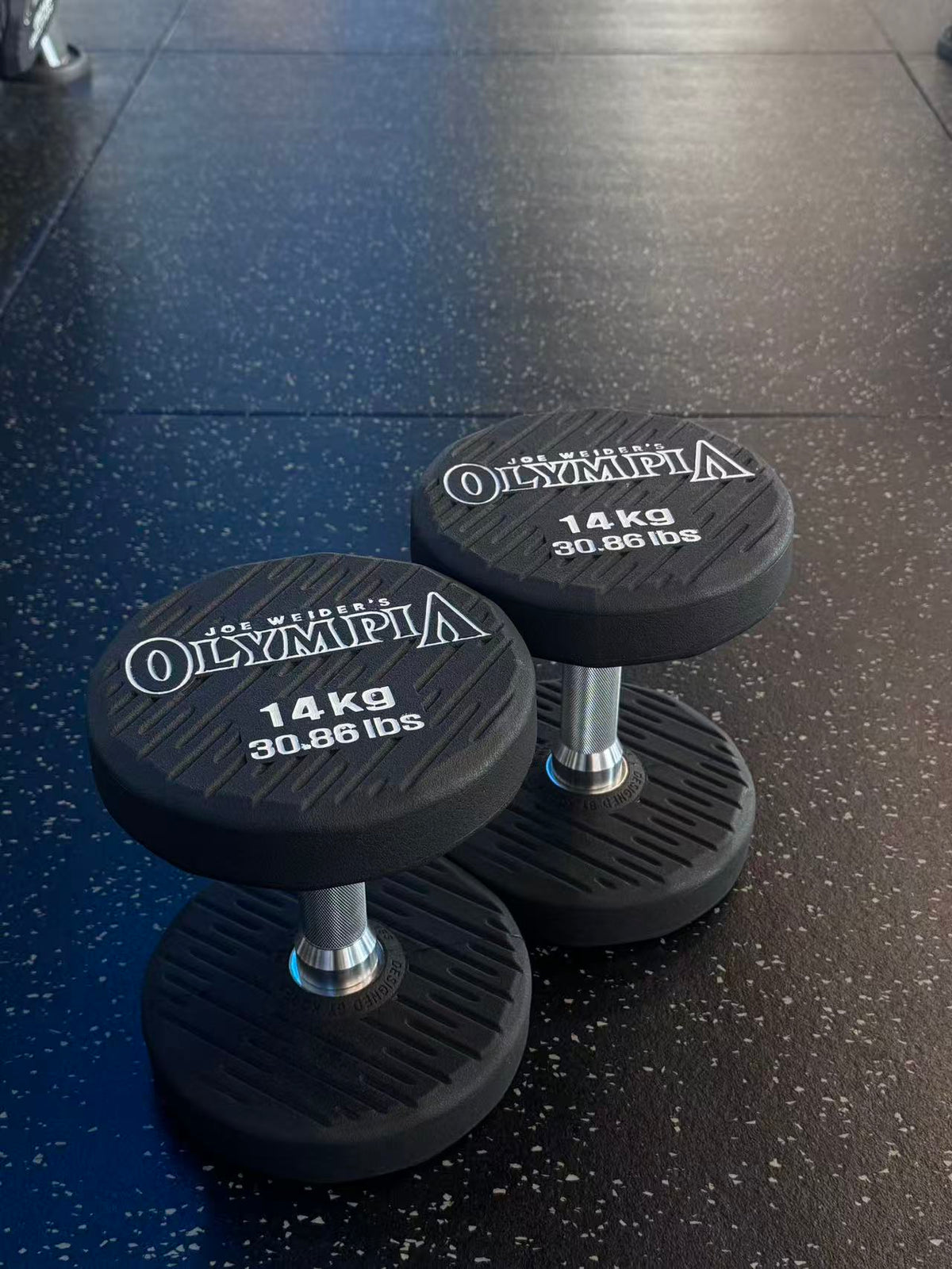 Newtech Wellness Mr. Olympia 14KG Dumbbell