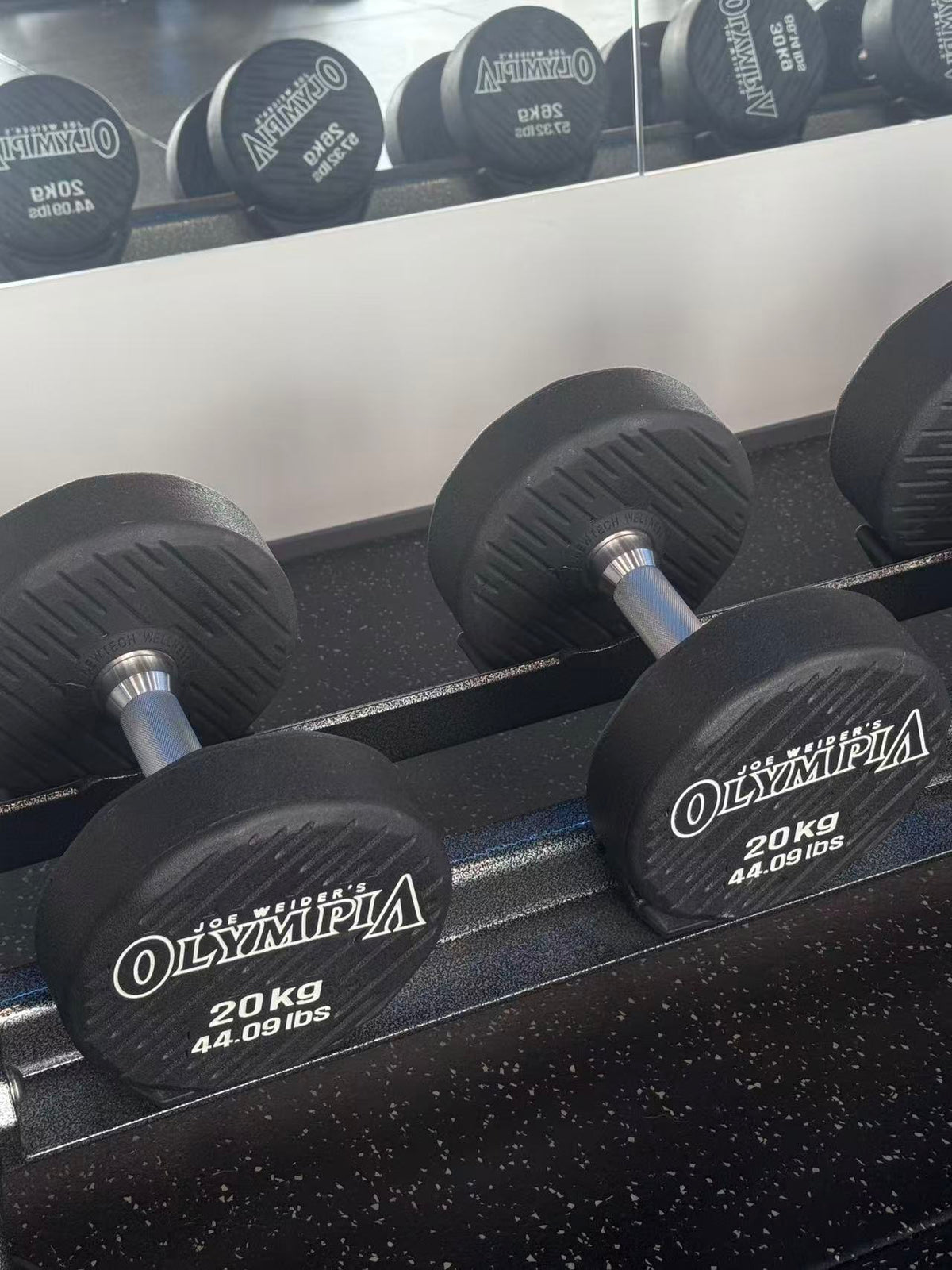 Newtech Wellness Mr. Olympia 20KG Dumbbell