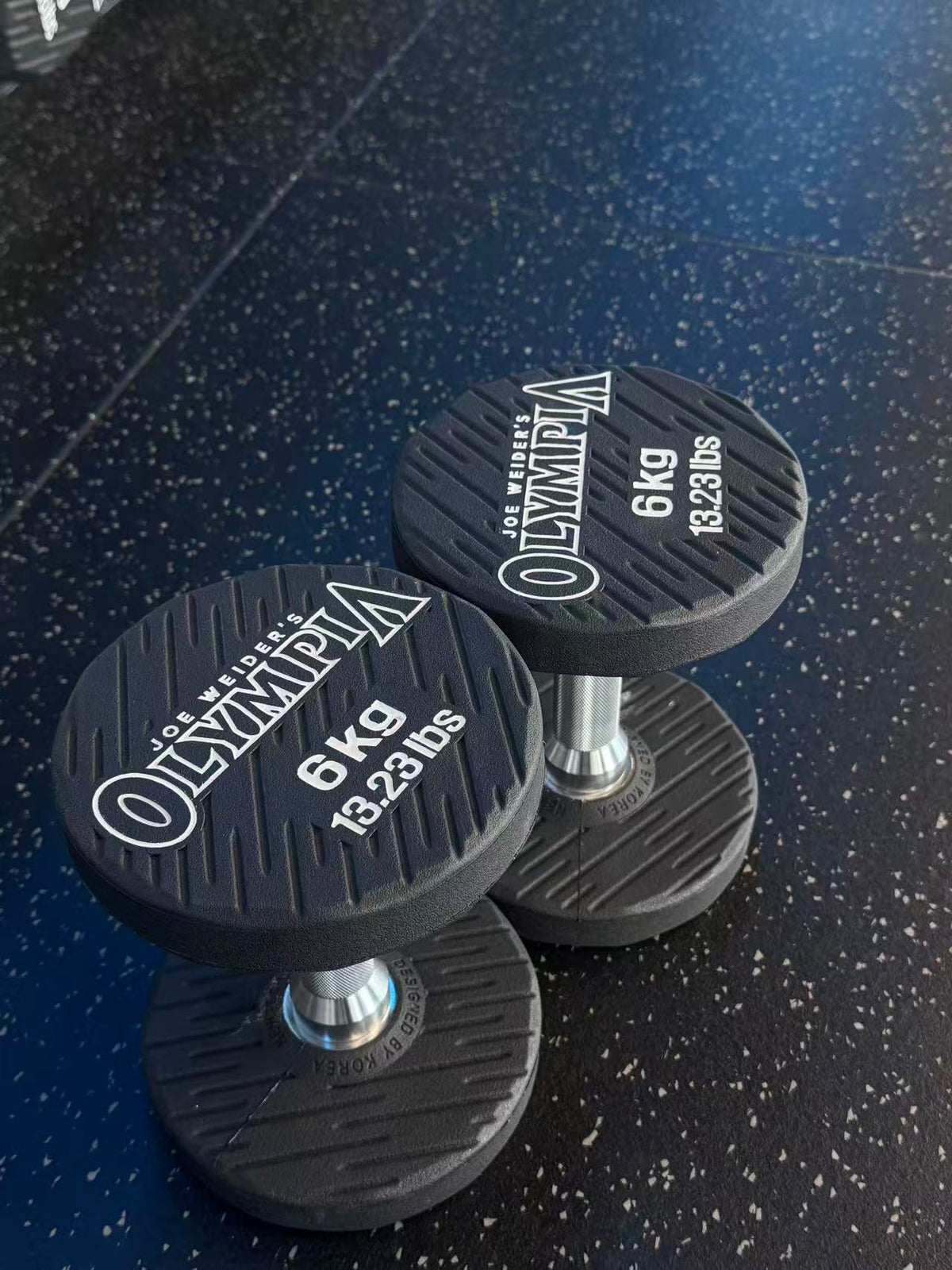 Newtech Wellness Mr. Olympia 6KG Dumbbell