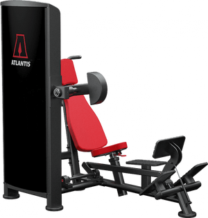 Atlantis Overhead Triceps - Model T162 image 4