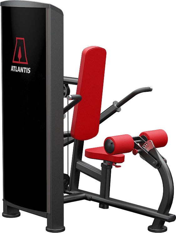 Atlantis Triceps Pushdown - Model T163 image 4